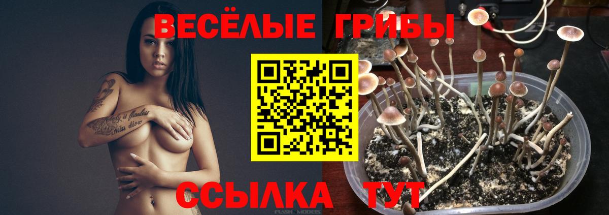 Меф   A-PVP СК   Белореченск  Меф  Вход с VPN  Бошки Шишки  КОКАИН  MDMA 