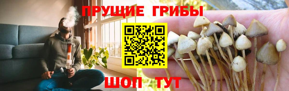 Галлюциногенные грибы ЛСД  Вход с VPN  Белореченск 